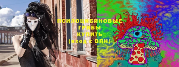 ГАЛЛЮЦИНОГЕННЫЕ ГРИБЫ Медвежьегорск