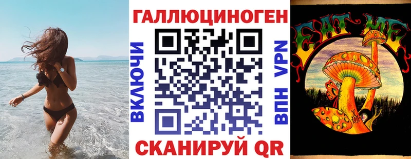 дарнет шоп  Электроугли  Псилоцибиновые грибы мицелий 